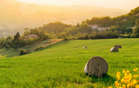 Old typical Tuscan farmhouse in Italyの写真素材