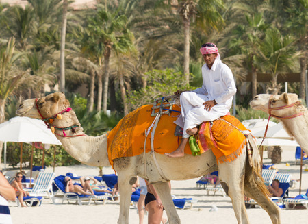 DUBAI, UAE - NOVEMBER 16, 2012  Arab man and camel on Jumeirah Beach in Dubai at the Burj Al Arab background   Dubai was the fastest developing city in the world between 2002 and 2008  のeditorial素材