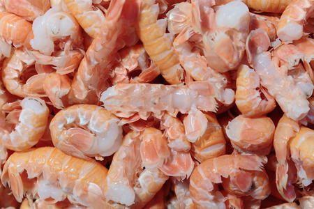 raw shrimpの写真素材