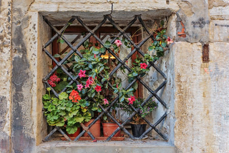 Window in an old house decorated with flower pots and flowers