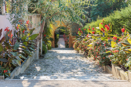 Alley in the parkの写真素材