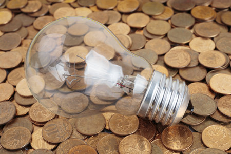 incandescent lamp  on coins background