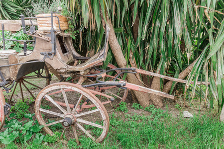 old rustic carriage in the grassの写真素材