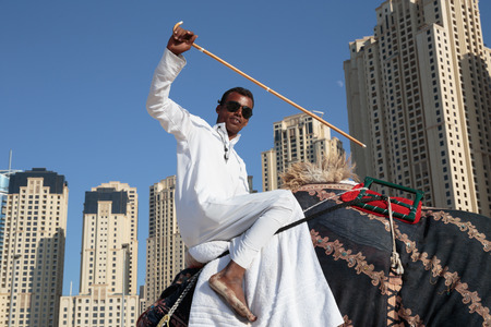 DUBAI, UAE - NOVEMBER 11: High rise buildings and camel on the beach in Dubai Marina, on November 11, 2013, Dubai, UAE. In the city of artificial channel length of 3 kilometers along the Persian Gulf.のeditorial素材