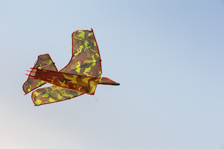 kite at sunsetの写真素材