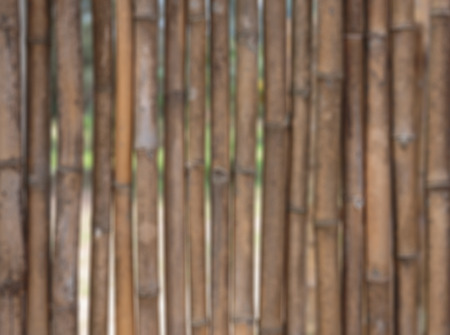 Defocused blurred background from old bamboo stalksの写真素材