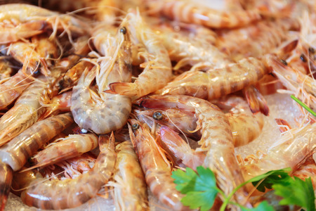 raw shrimp on the counter in the storeの写真素材