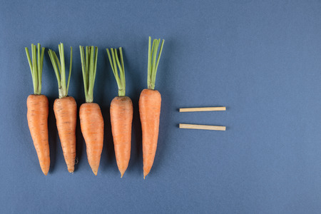 carrots and school mathematics with math problemsの写真素材