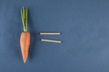 carrots and school mathematics with math problemsの写真素材