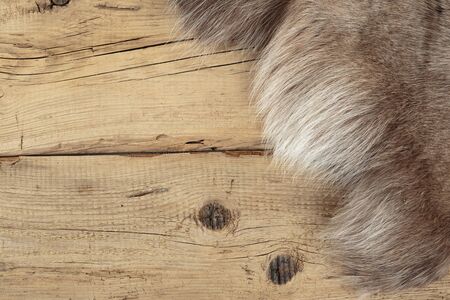 Old dilapidated boards and reindeer furの写真素材