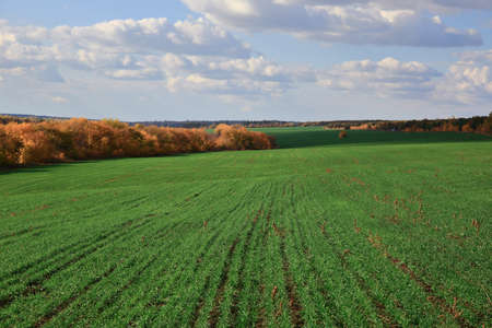 Agricultural fields and meadows in Europeの写真素材