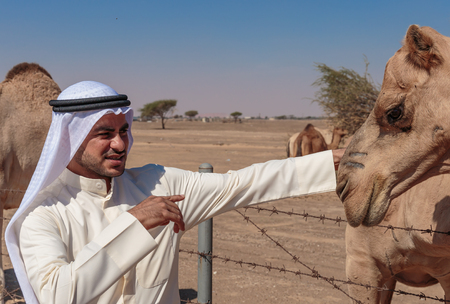 DUBAI, UAE-NOVEMBER 12, 2013: Arab men and camels on the farmのeditorial素材