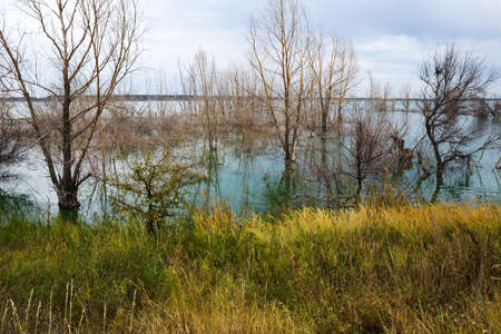 Backwater at sunset in autumnの写真素材