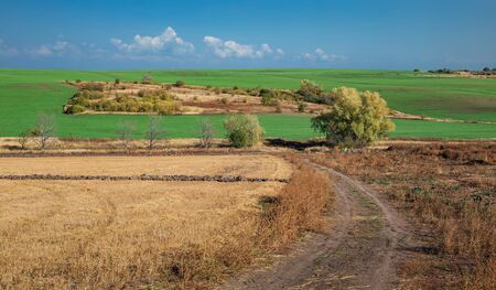 Agricultural fields in the countrysideの写真素材