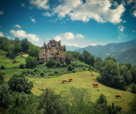 Rural landscape with a castle and grazing cows. Tonedのeditorial素材