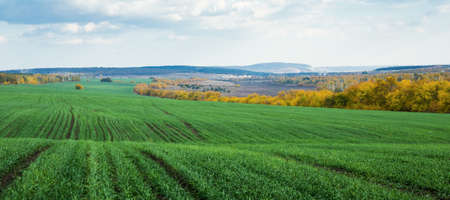Agricultural fields and meadows in Europeの写真素材