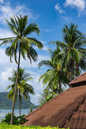 Bungalows in a tropical garden on the beachの写真素材