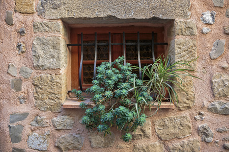 Window in an old house with flowerの写真素材