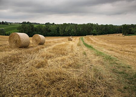 Rural Italian landscape in Tuscanyの写真素材