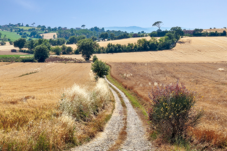deserted country road in Italyの写真素材