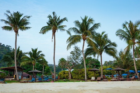 Tropical sand beach on an island in Thailandの写真素材