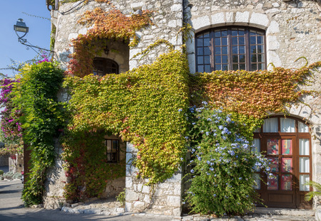 Facade with flowers of old French house, Vence