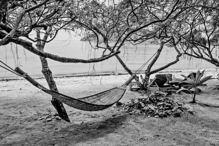 Hammock in the shade of a tree on a tropical beachの写真素材