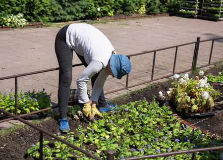 MOSCOW, RUSSIA - JUNE 18, 2018: Gardener in the city park