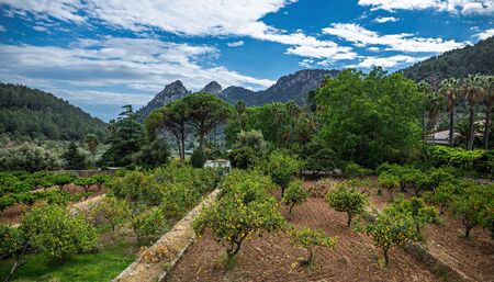 Alfabia Gardens park on Tramuntana mountain, Mallorca, Balearic Islands, Spain