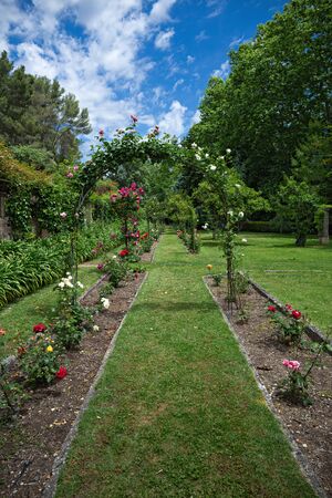 Flower alley in the garden, Mallorca Spainの写真素材