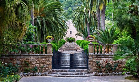 Alley in the Alfabia Gardens , Mallorca, Balearic Islands, Spainの写真素材
