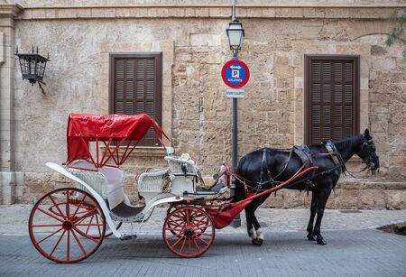 White Carriage with one horse for touristsの写真素材