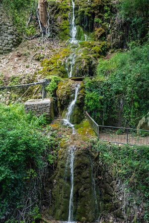 Summer landscape, waterfall in an abandoned gardenの写真素材