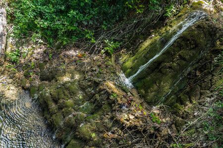 Summer landscape, River in an abandoned gardenの写真素材