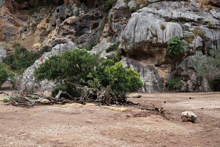 Canyon de la Calobra in the mountains of Tramontana on the island of Mallorcaの写真素材