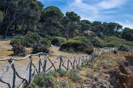 Playa de Olia public beach, Mallorca Spainの写真素材