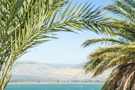 Kinneret lake or Galilee sea and Golan Heights in the palm leaves with clear blue skyの写真素材