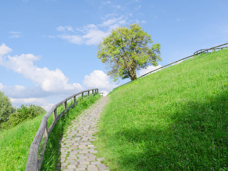 Difficult cobble stones path upward in direction to the top of green hillの写真素材
