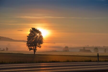 Morning dawning sun and rising sunbeams over hazy field and country roadの写真素材