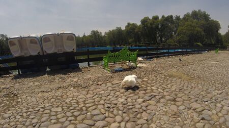 Sculpture Park, Mexicoのeditorial素材