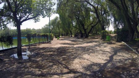 Sculpture Park, Mexicoのeditorial素材