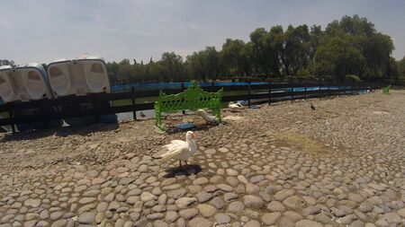 Sculpture Park, Mexicoのeditorial素材