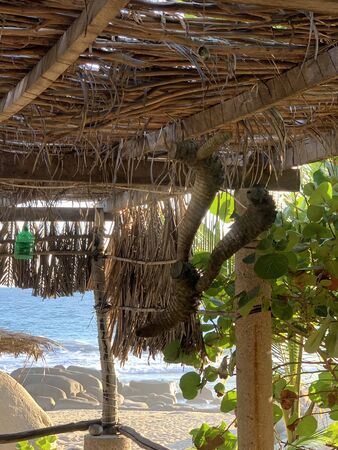 Beautiful view on Mexican beach. Acapulco, Mexicoの写真素材