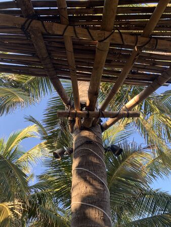 Beautiful view on Mexican beach. Acapulco, Mexicoの写真素材