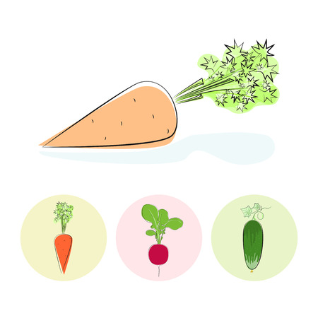 Carrot root vegetable on a white background , set of three round colorful icons  carrot, cucumber, radish, vector illustrationのイラスト素材