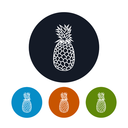 Icon Pineapple ,the Four Types of Colorful Round Icons Ananas in the Contours, Vector Illustrationのイラスト素材