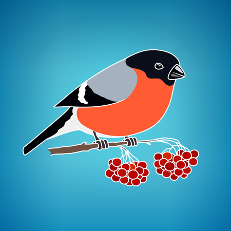 Colorful Christmas Bullfinch on a Blue Background, Bullfinch Sitting on a Branch with Bunches of Rowan, Christmas Decorations,  Vector Illustrationのイラスト素材