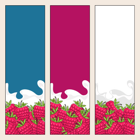 Set of  Vertical  Design with Berry Raspberries in Creamed , Bright  Colorful   Design with Fruit Raspberries in Sour Cream, Raspberries in Milk, Illustrationのイラスト素材