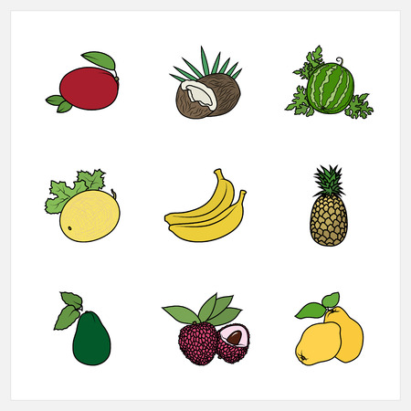 Tropical Exotic Fruit,Fruit Growing on a Trees, Flat Design , Isolated on White Background , Set of Fruit Icons , Vector Illustrationのイラスト素材