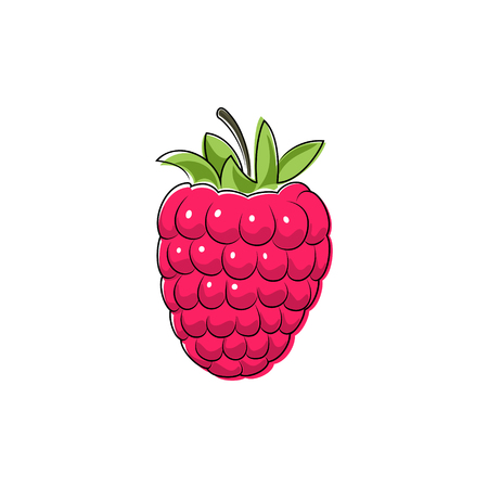 Pink Berry Raspberries Isolated on White, Fruit Raspberries, Vector Illustrationのイラスト素材